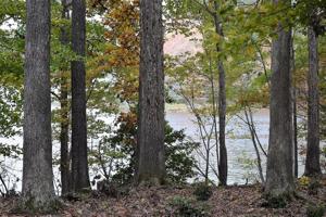 27 Mountain Rock Trail