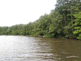 Lot 34 Thornton Dr