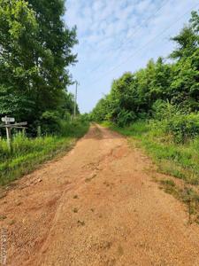 Bobcat Trail