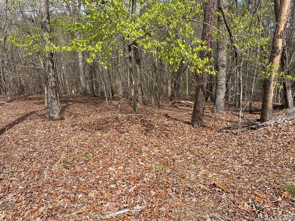 Image 4: Gently Sloping Lot