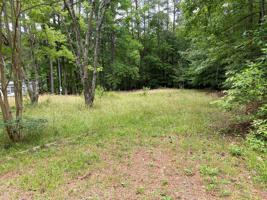 232 Hawthorne Dr