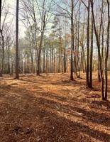 Lot 90 Occaneechi Trail