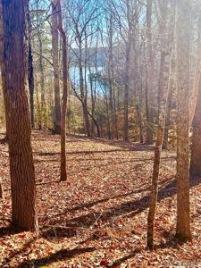 46 Buckhead Drive