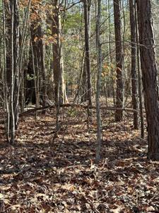 Lot 85 Occanecchi Trail