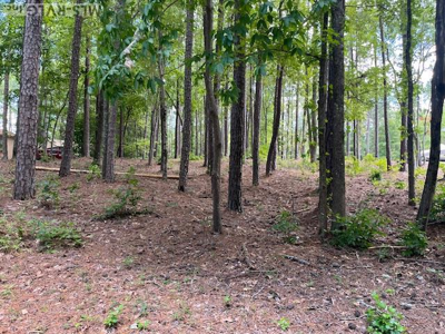 Lot 53 Occoneechee Trail