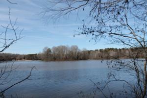 12 Waters Edge Drive
