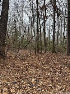 Occoneechee Trail