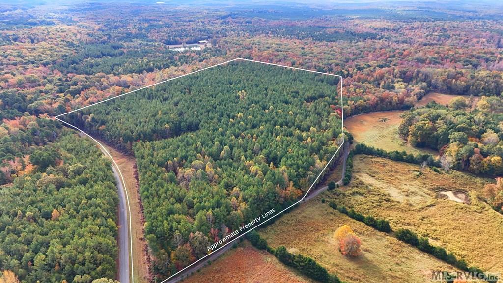 Image 3: Both Sides of the Road