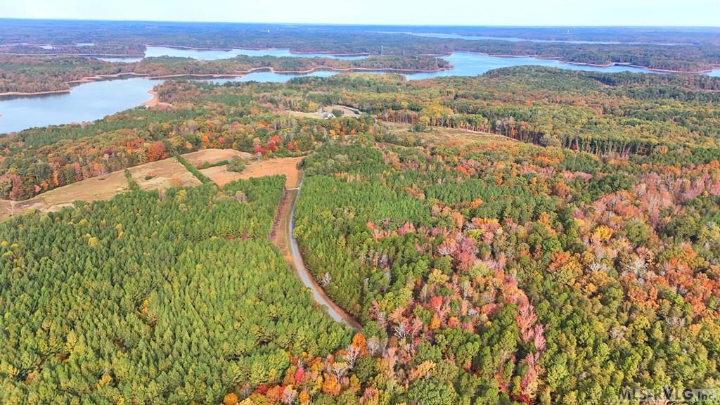 Image 4: All the Pines