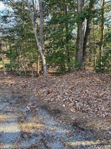Lot 24P Magnolia Ct.