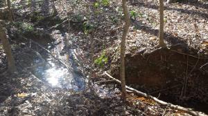 Lot 46 St Tammany Drive