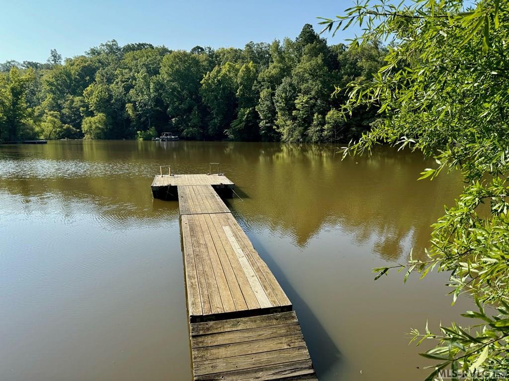 Image 4: The Shared Dock