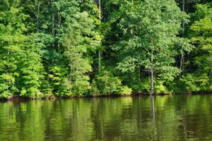 7 Waters Edge Drive