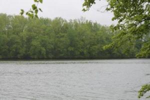 1 Boxwood Shores Drive