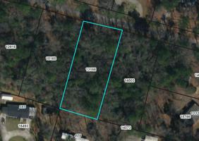 8M Chestnut Drive