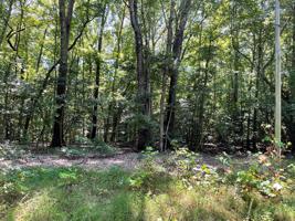 Lot 6 Oakwood Court