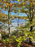 Lot 37 Forest Court