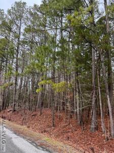 Lot 29 Almond Court