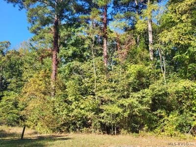 Lot 19 Hundleys Forest Dr