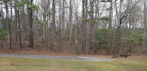 Lot 57 Berkley Drive