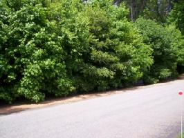 0 Longwood Drive