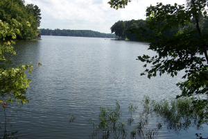 Lot 5 Waterlyn Drive