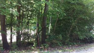 35 Cimmarron Trail