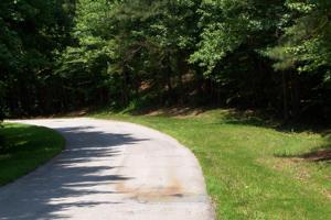 Lot 3 Buckhead Drive