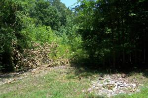 Lot 5 Buckhead Drive