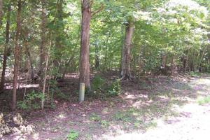Lot 6 Buckhead Drive