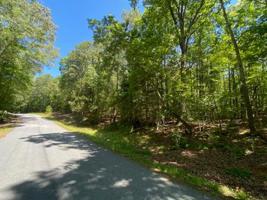 13 St Tammany Drive