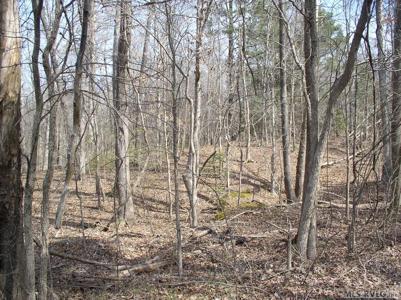 Lot 1 Bullock Lane
