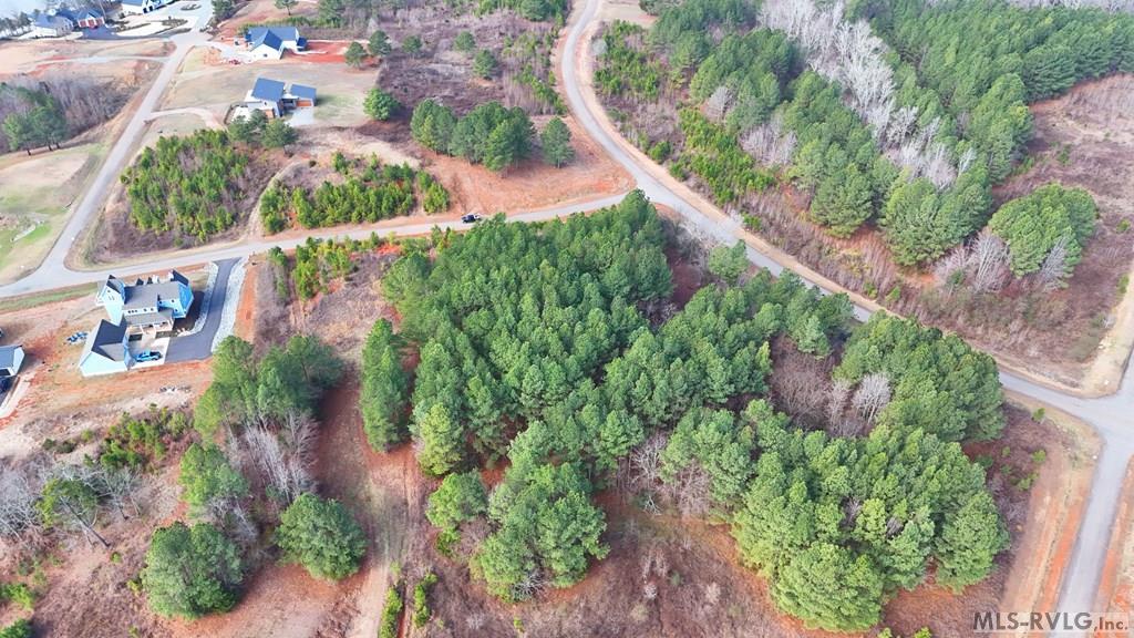 Image 4: From the Back