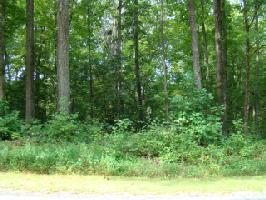 Lot 39B Maplewood Lane