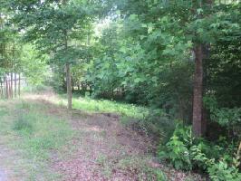 406 Eagle Trail