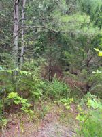 Lot 36 Beechridge Rd