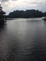 Lot 41 A Hawtree Way