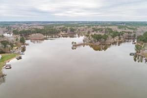 Lake Gaston Dr & Moss Point