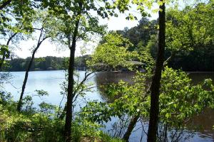 24 Mountain Rock Trail