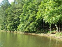 Lot 1 Canoe Creek Road