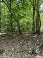 Lot 24 Briarwood