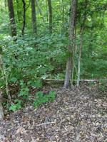 Lot20&21 Beechwood