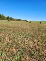Tract A Poplar Creek Rd