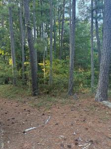 Cedar Hill Lane