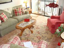 16109 SMITH MOUNTAIN LAKE PKWY Unit #S4
