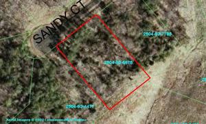 57 Sandy CT
