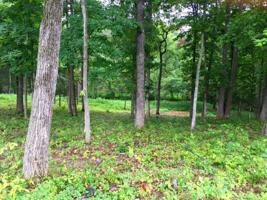 Lot 46 Lakewatch CIR