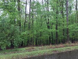 Lot 101 Minton CIR