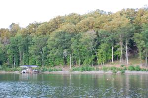 Lot 15 Sassafras CT