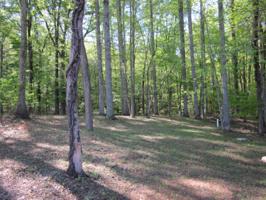 Lot 9 Little Creek RD